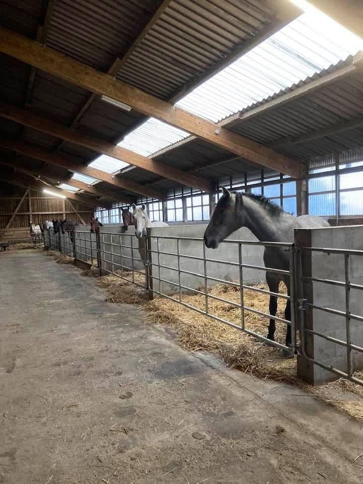 Prodej domu 380 m², pozemek 350.000 m², Domäne Hünkemann 1, Wurster Nordseeküste, Dolní Sasko Prodej domu 380 m², pozemek 350.000 m², Domäne Hünkemann 1, Wurster Nordseeküste, Dolní Sasko