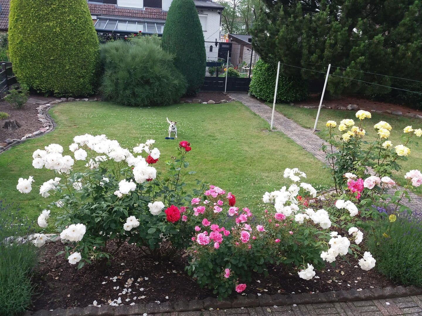 Prodej domu 105 m², pozemek 467 m², Alsdorf, Severní Porýní-Vestfálsko Prodej domu 105 m², pozemek 467 m², Alsdorf, Severní Porýní-Vestfálsko