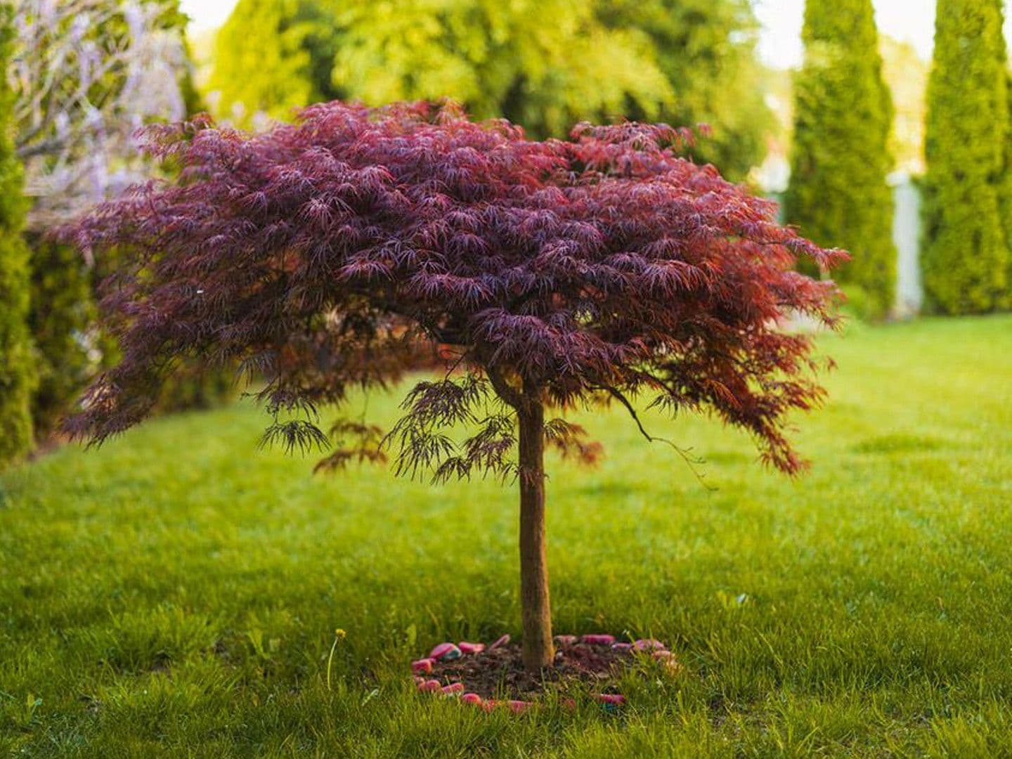 Prodej domu 131 m², pozemek 521 m², Höpenweg 9, Seevetal, Dolní Sasko Prodej domu 131 m², pozemek 521 m², Höpenweg 9, Seevetal, Dolní Sasko