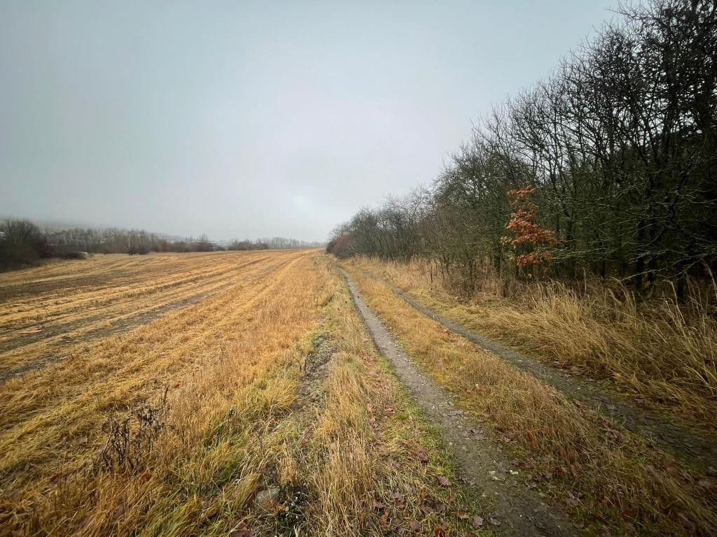 Prodej pozemku 2.496 m², Cerhovice, Středočeský kraj Prodej pozemku 2.496 m², Cerhovice, Středočeský kraj