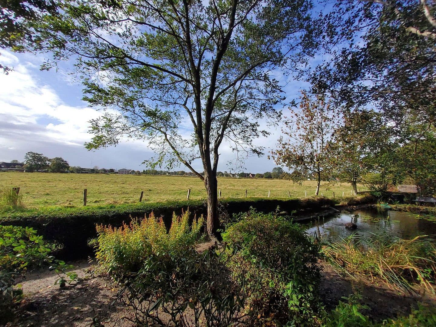 Prodej domu 264 m², pozemek 1.464 m², Wesselburen, Šlesvicko-Holštýnsko Prodej domu 264 m², pozemek 1.464 m², Wesselburen, Šlesvicko-Holštýnsko