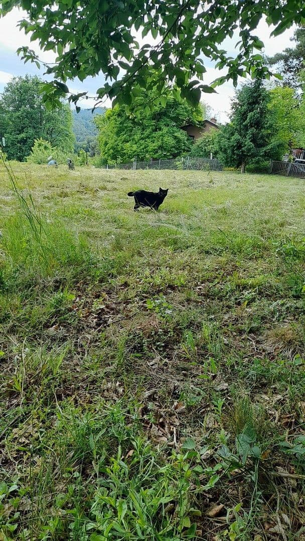 Prodej pozemku 1.016 m², Unterfahrenbach, Štýrsko Prodej pozemku 1.016 m², Unterfahrenbach, Štýrsko