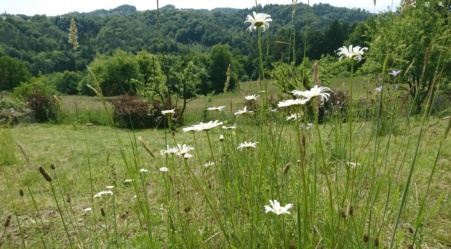 Prodej pozemku 1.016 m², Unterfahrenbach, Štýrsko Prodej pozemku 1.016 m², Unterfahrenbach, Štýrsko