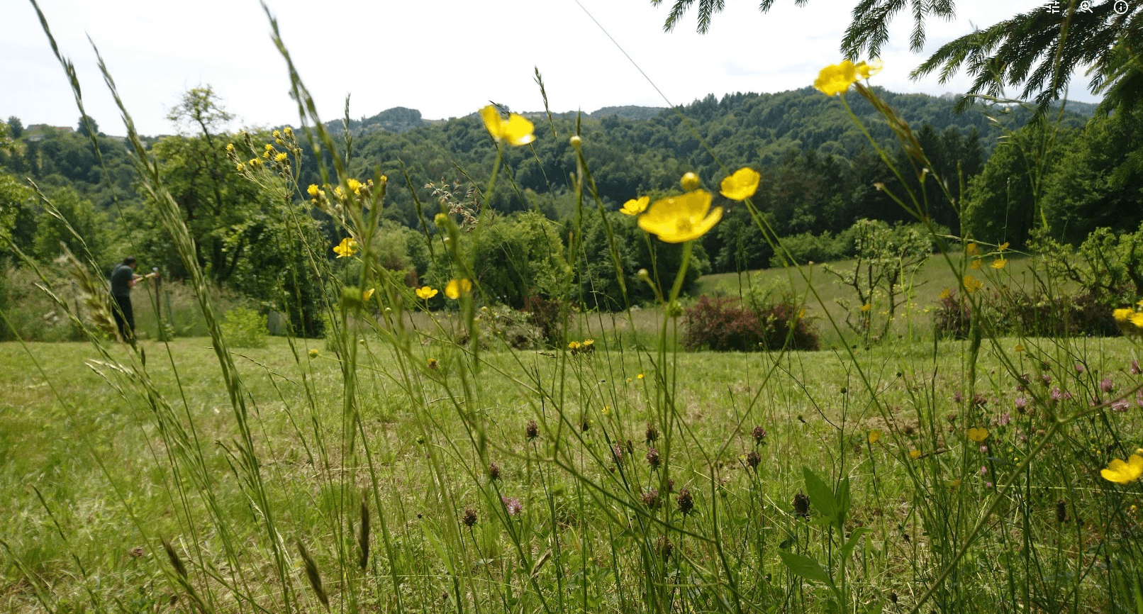 Prodej pozemku 1.016 m², Unterfahrenbach, Štýrsko Prodej pozemku 1.016 m², Unterfahrenbach, Štýrsko