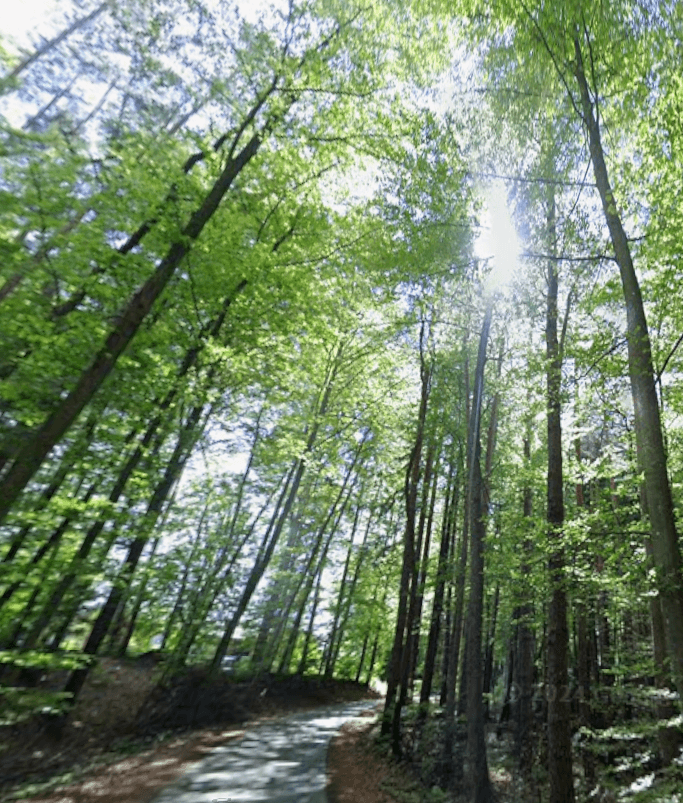 Prodej pozemku 1.016 m², Unterfahrenbach, Štýrsko Prodej pozemku 1.016 m², Unterfahrenbach, Štýrsko