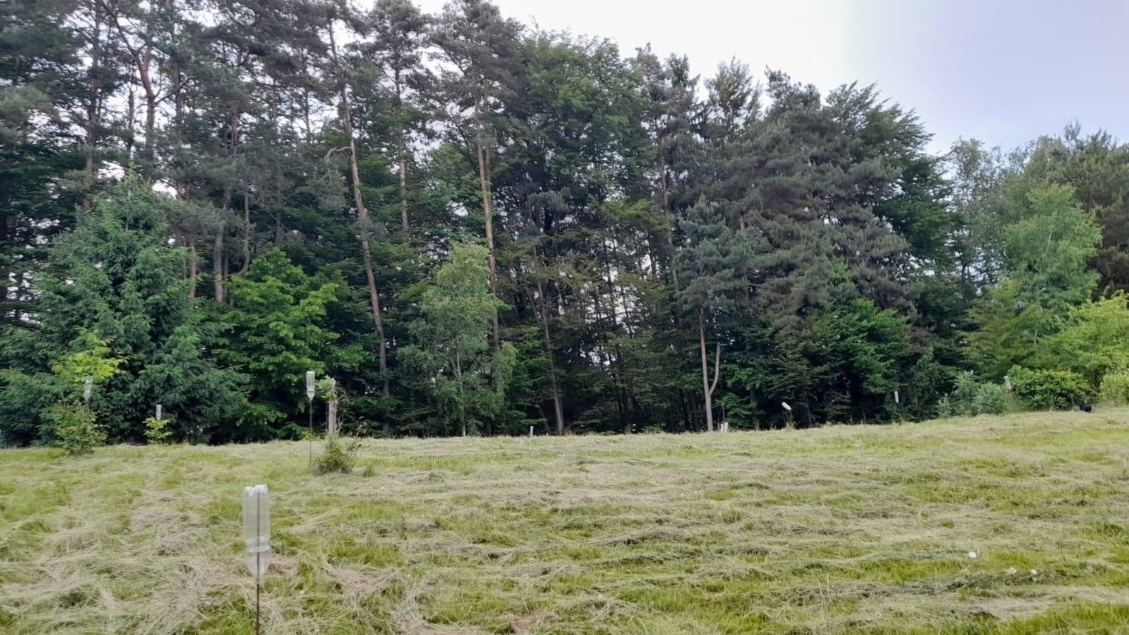 Prodej pozemku 1.016 m², Unterfahrenbach, Štýrsko Prodej pozemku 1.016 m², Unterfahrenbach, Štýrsko