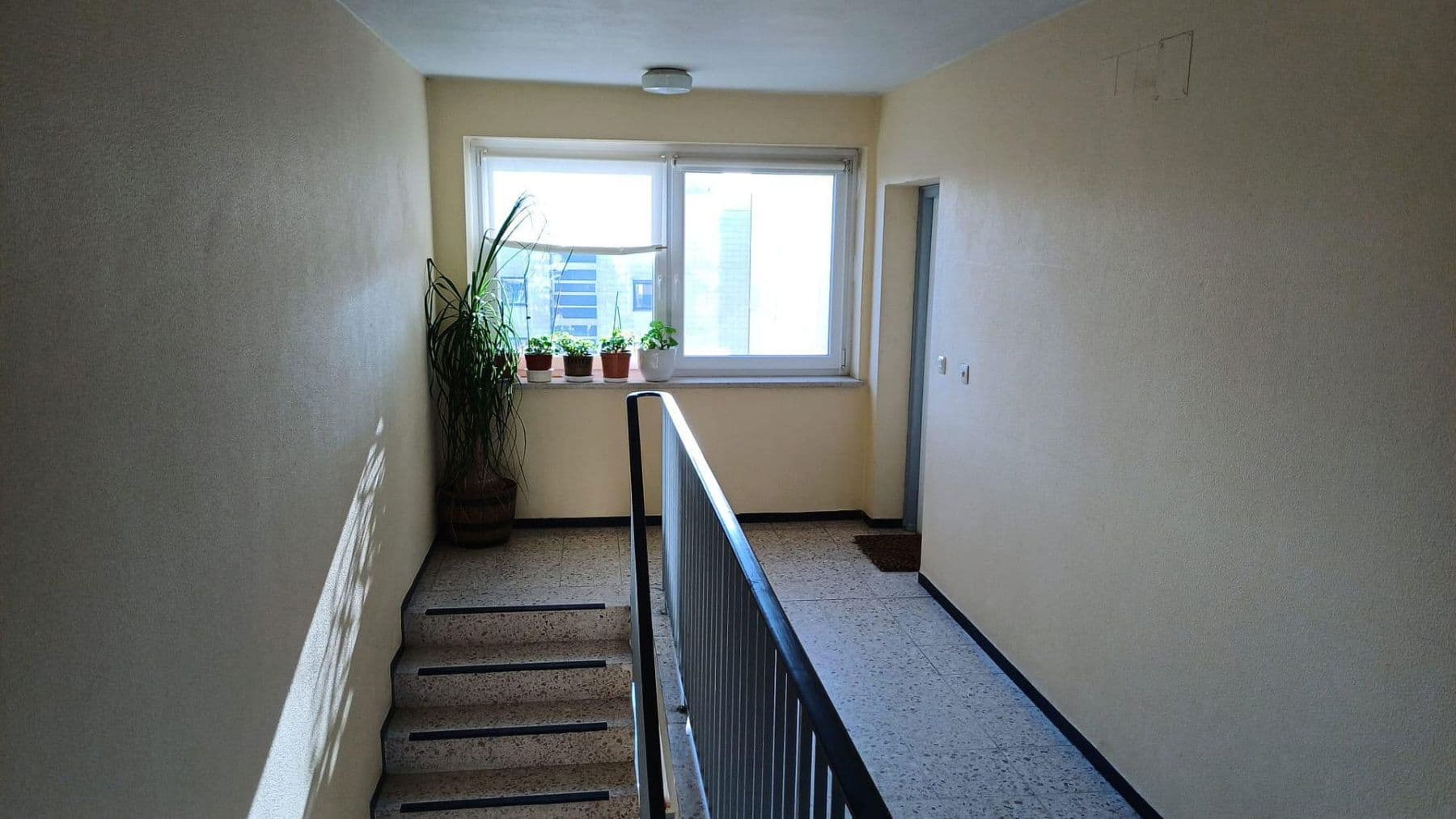 Prodej bytu 2+1 60 m², Hochwaldstraße 32, Altdorf, Bavorsko Prodej bytu 2+1 60 m², Hochwaldstraße 32, Altdorf, Bavorsko