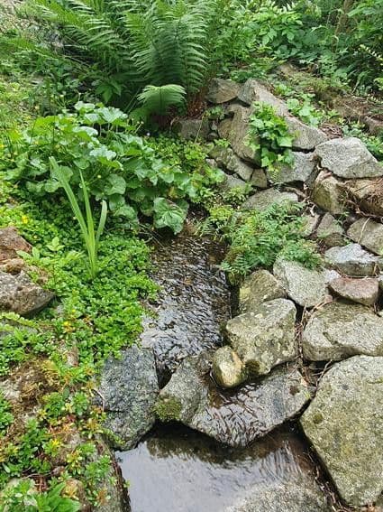 Prodej domu 206 m², pozemek 522 m², Badenweiler, Bádensko-Württembersko Prodej domu 206 m², pozemek 522 m², Badenweiler, Bádensko-Württembersko