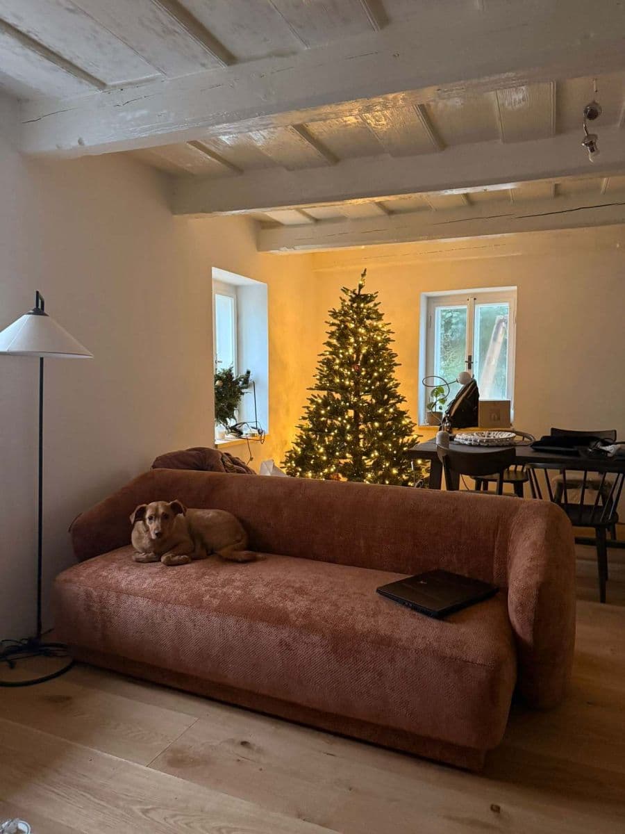 Pronájem chaty, chalupy, Meziměstí, Královéhradecký kraj Pronájem chaty, chalupy, Meziměstí, Královéhradecký kraj