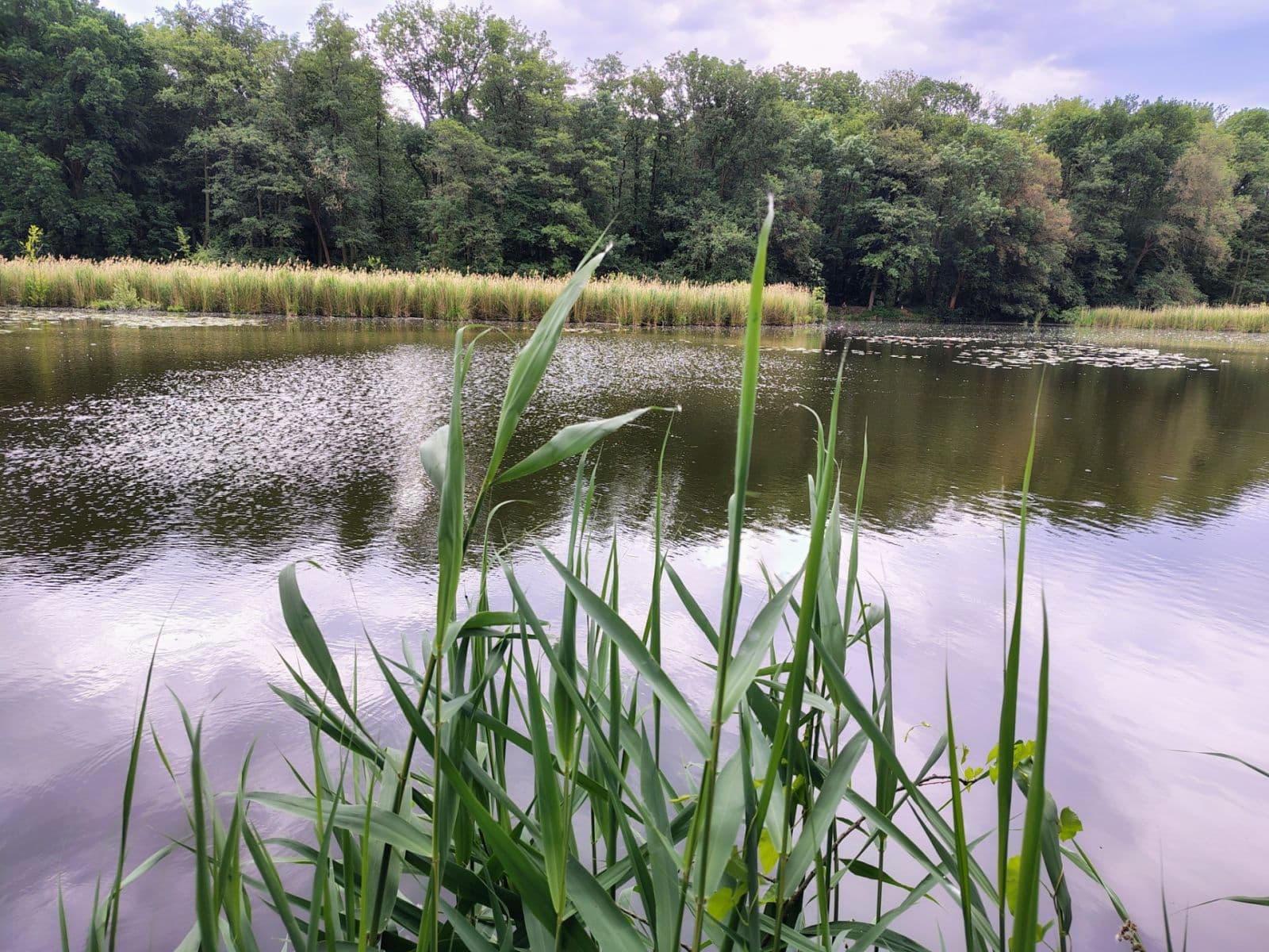 Prodej chaty, chalupy 27 m², pozemek 27 m², Neratovice, Středočeský kraj Prodej chaty, chalupy 27 m², pozemek 27 m², Neratovice, Středočeský kraj
