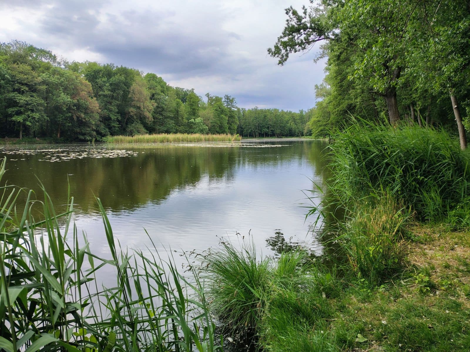 Prodej chaty, chalupy 27 m², pozemek 27 m², Neratovice, Středočeský kraj Prodej chaty, chalupy 27 m², pozemek 27 m², Neratovice, Středočeský kraj
