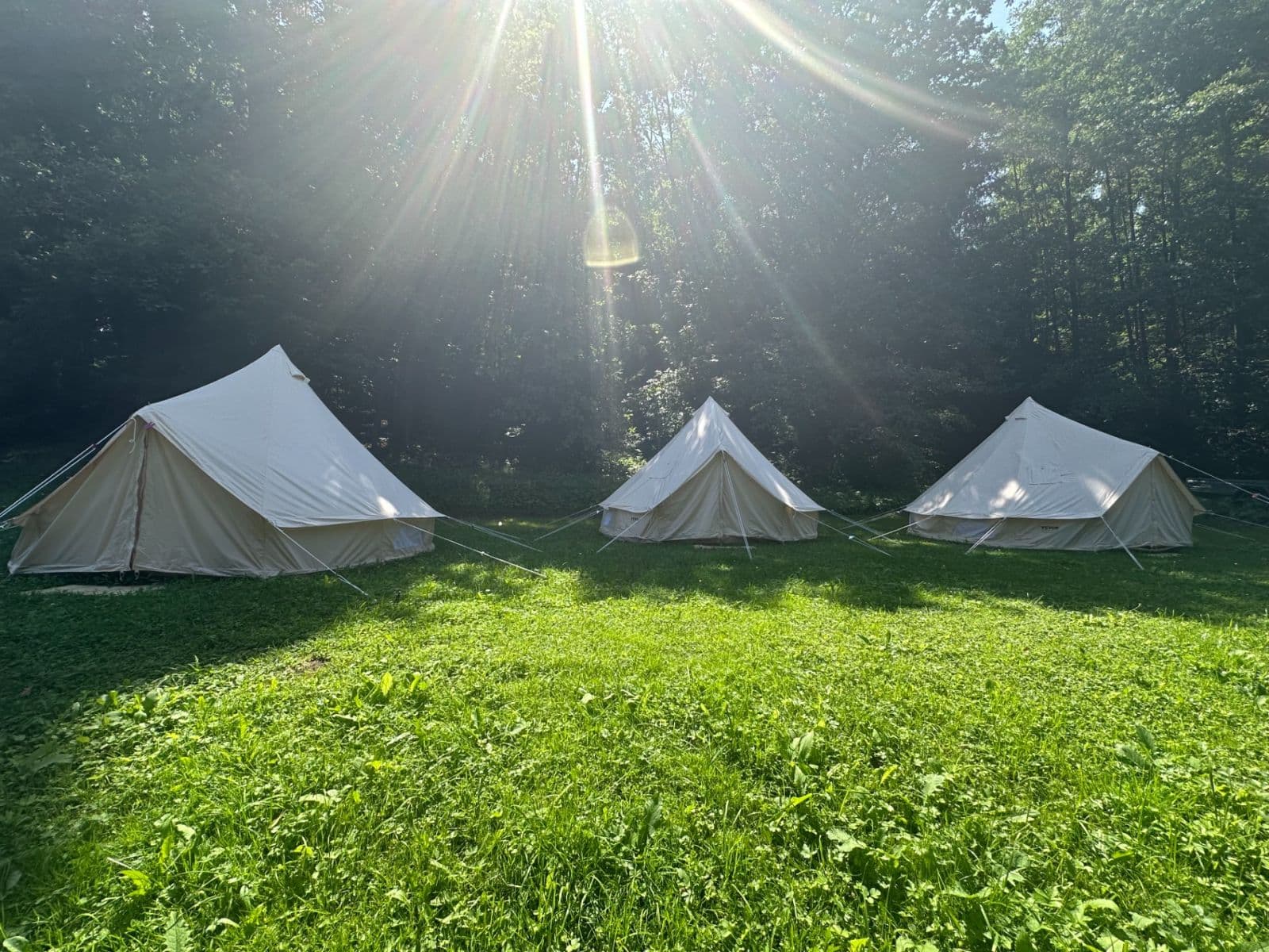 Pronájem chaty, chalupy 95 m², pozemek 1.504 m², Libuň, Královéhradecký kraj Pronájem chaty, chalupy 95 m², pozemek 1.504 m², Libuň, Královéhradecký kraj