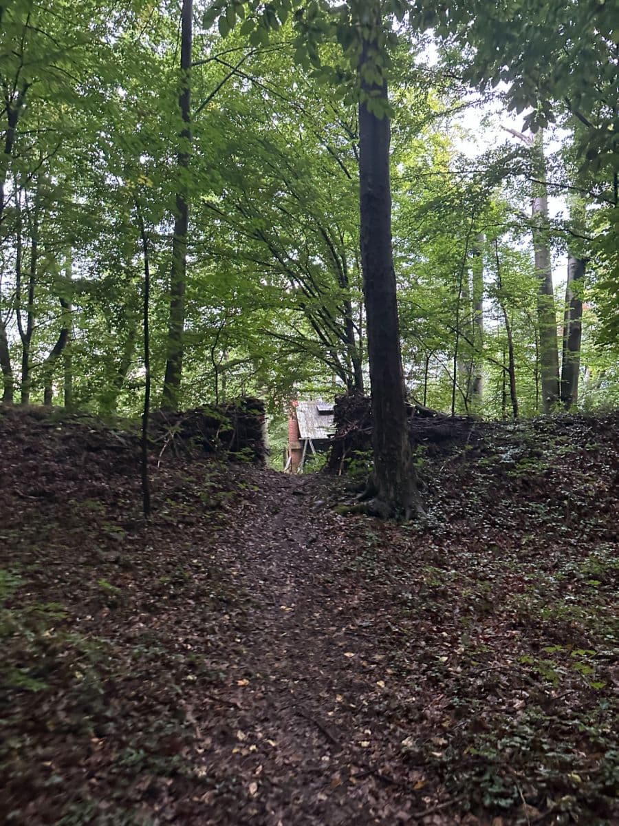 Pronájem chaty, chalupy 30 m², pozemek 372 m², Zářecká Lhota, Pardubický kraj Pronájem chaty, chalupy 30 m², pozemek 372 m², Zářecká Lhota, Pardubický kraj