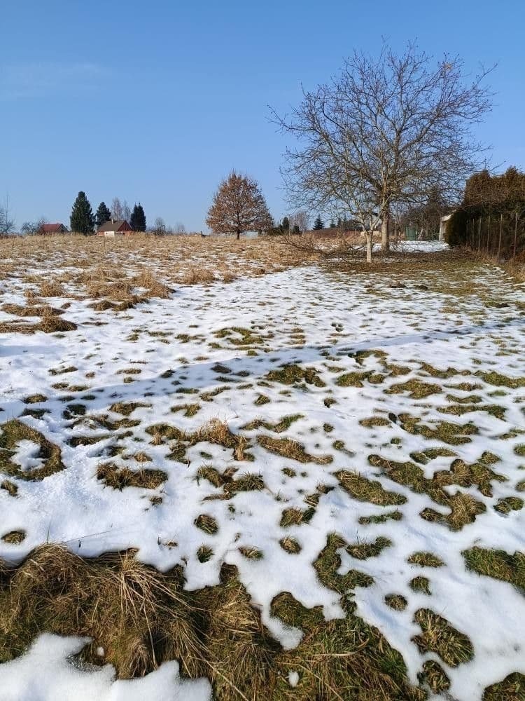 Prodej pozemku 3.663 m², Řepiště, Moravskoslezský kraj Prodej pozemku 3.663 m², Řepiště, Moravskoslezský kraj