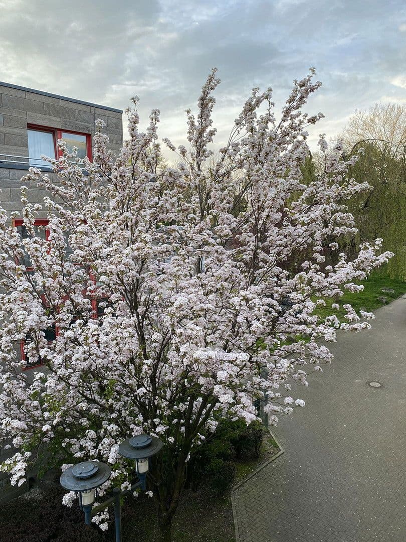 Pronájem bytu 2+1 52 m², Steinweg 2, Remscheid, Severní Porýní-Vestfálsko Pronájem bytu 2+1 52 m², Steinweg 2, Remscheid, Severní Porýní-Vestfálsko