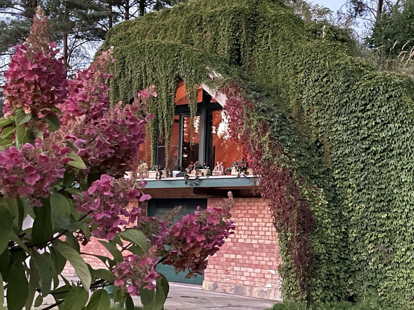 Prodej nebytového prostoru 30.000 m², Lindenstraße 15, Neuhardenberg, Braniborsko Prodej nebytového prostoru 30.000 m², Lindenstraße 15, Neuhardenberg, Braniborsko