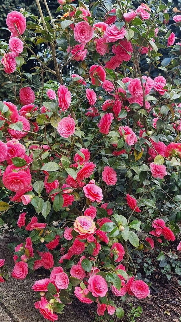 Prodej bytu 3+1 95 m², Frankfurt, Hessen Prodej bytu 3+1 95 m², Frankfurt, Hessen