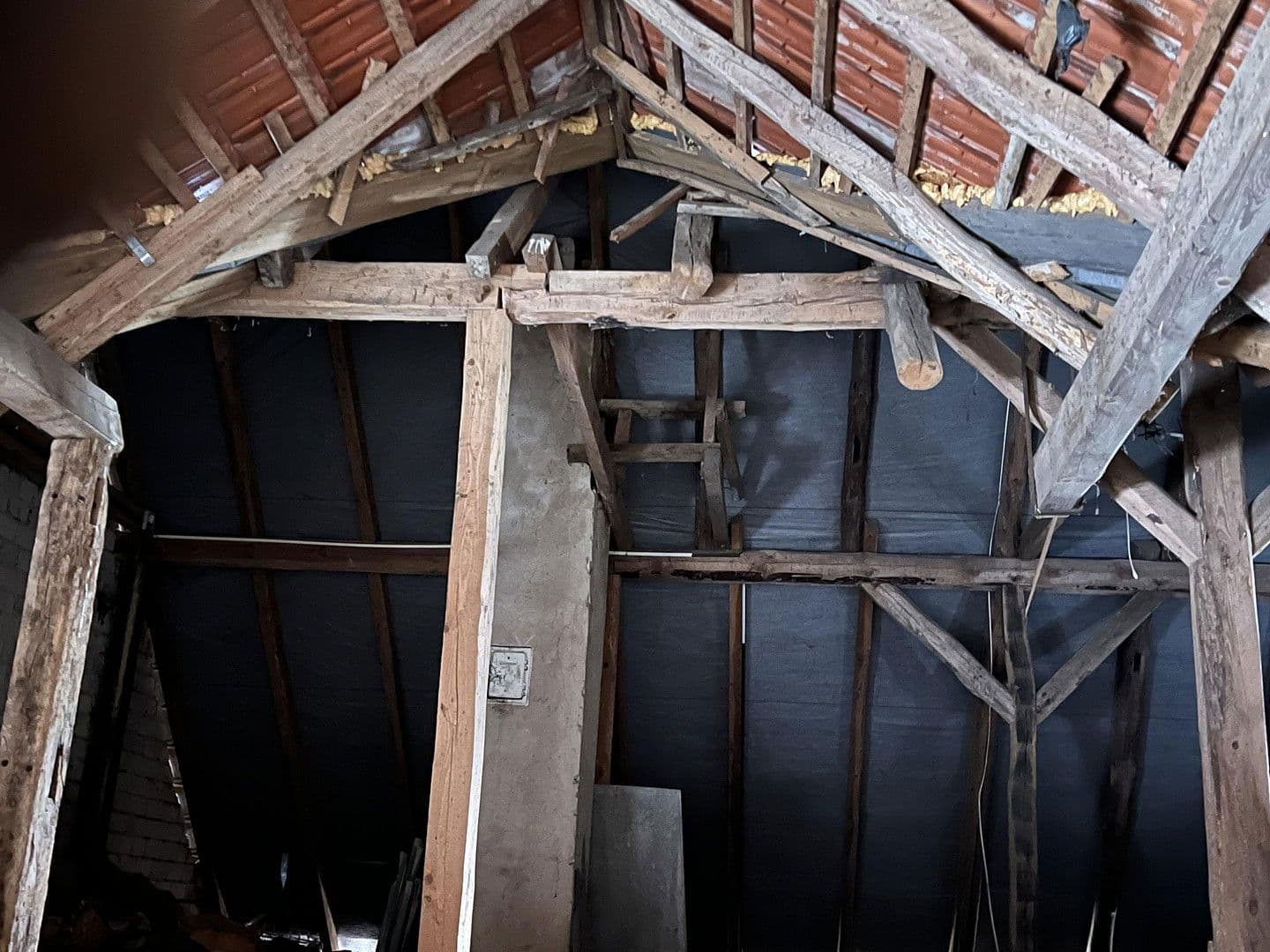 Prodej domu 120 m², pozemek 10.761 m², Meisterstraße 61, Rahden, Severní Porýní-Vestfálsko Prodej domu 120 m², pozemek 10.761 m², Meisterstraße 61, Rahden, Severní Porýní-Vestfálsko