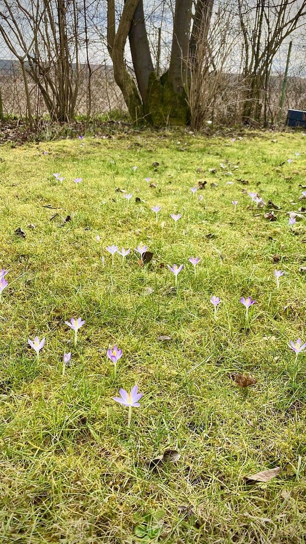 Prodej domu 168 m², pozemek 515 m², Feldkirchen bei München, Bavorsko Prodej domu 168 m², pozemek 515 m², Feldkirchen bei München, Bavorsko