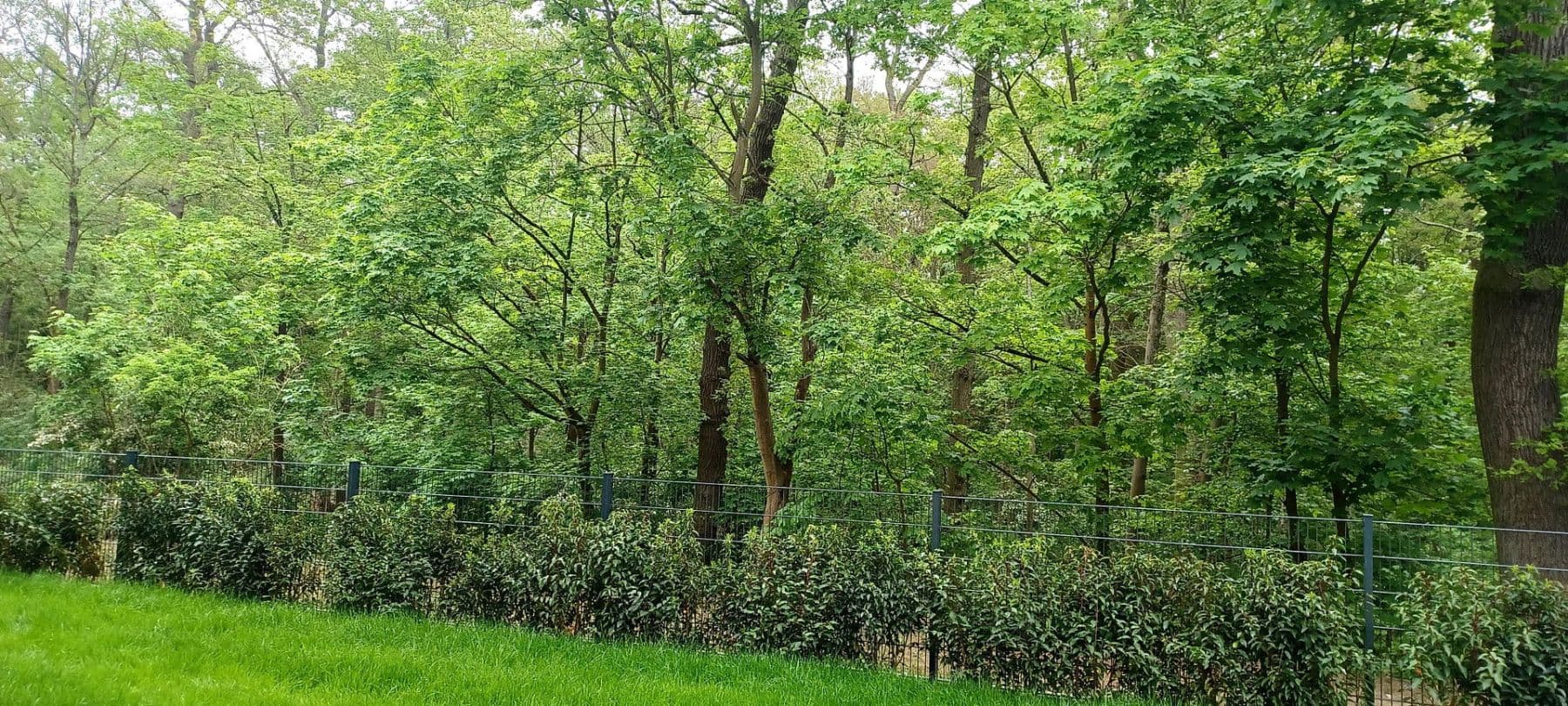 Pronájem bytu 5+1 173 m², Kronberger Strasse, Bad Soden am Taunus, Hessen Pronájem bytu 5+1 173 m², Kronberger Strasse, Bad Soden am Taunus, Hessen