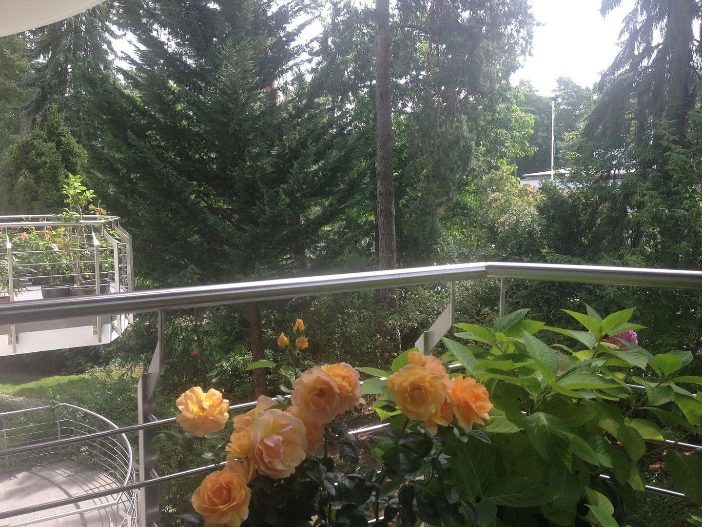 Prodej bytu 4+1 142 m², Berlin, Berlín Prodej bytu 4+1 142 m², Berlin, Berlín