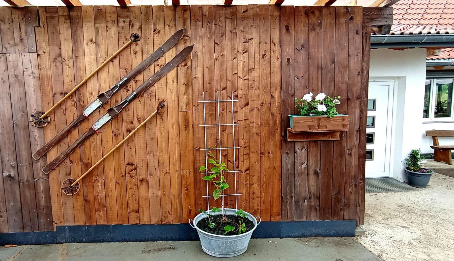 Prodej domu 390 m², pozemek 23.963 m², Friedenweiler, Bádensko-Württembersko Prodej domu 390 m², pozemek 23.963 m², Friedenweiler, Bádensko-Württembersko