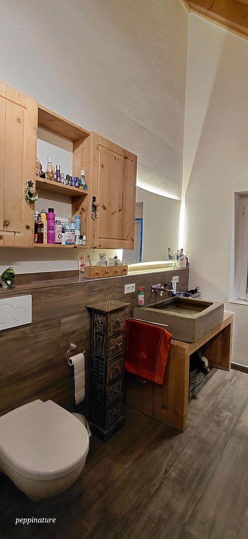 Prodej domu 390 m², pozemek 23.963 m², Friedenweiler, Bádensko-Württembersko Prodej domu 390 m², pozemek 23.963 m², Friedenweiler, Bádensko-Württembersko