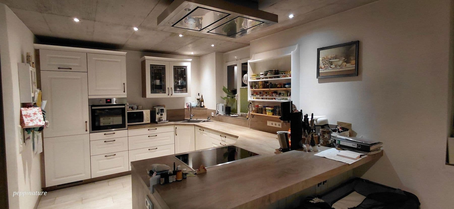 Prodej domu 390 m², pozemek 23.963 m², Friedenweiler, Bádensko-Württembersko Prodej domu 390 m², pozemek 23.963 m², Friedenweiler, Bádensko-Württembersko