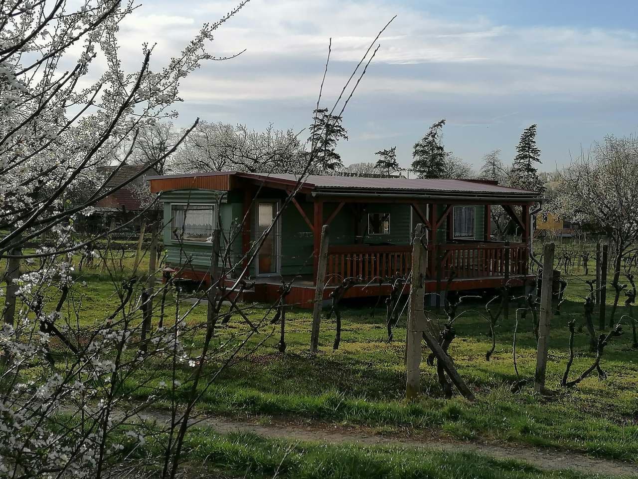 Pronájem chaty, chalupy, Dolní Věstonice, Jihomoravský kraj Pronájem chaty, chalupy, Dolní Věstonice, Jihomoravský kraj