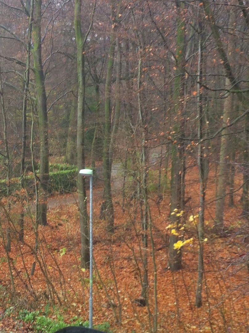 Pronájem bytu 3+1 90 m², Essen, Severní Porýní-Vestfálsko Pronájem bytu 3+1 90 m², Essen, Severní Porýní-Vestfálsko