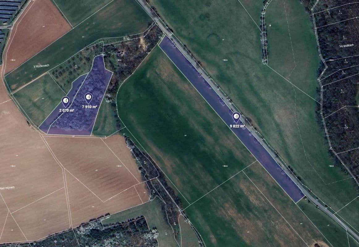 Prodej pozemku 28.532 m², Vísky, Jihomoravský kraj Prodej pozemku 28.532 m², Vísky, Jihomoravský kraj