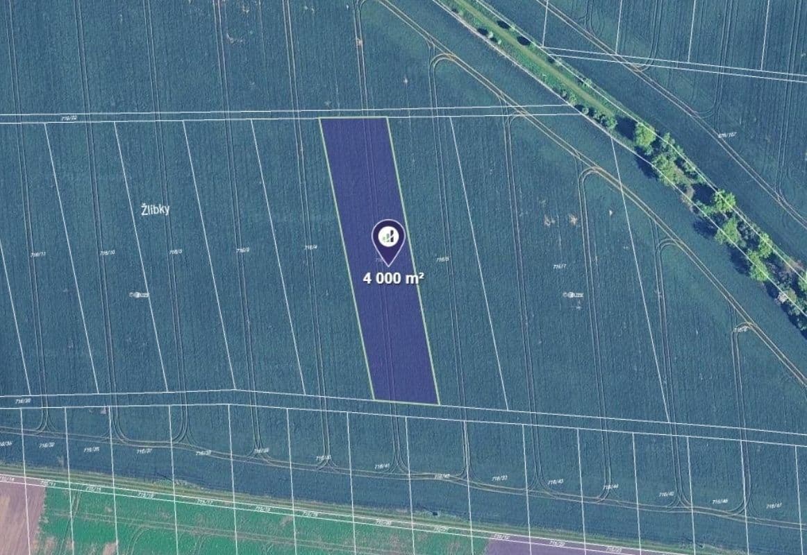 Prodej pozemku 4.000 m², Kobylnice, Jihomoravský kraj Prodej pozemku 4.000 m², Kobylnice, Jihomoravský kraj