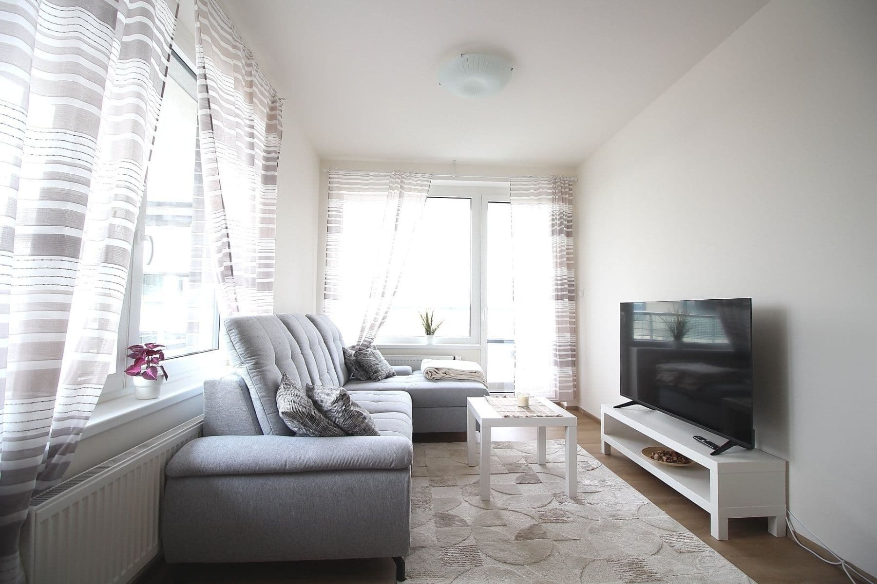 Pronájem bytu 2+kk 47 m², Thomasova, Praha, Praha Pronájem bytu 2+kk 47 m², Thomasova, Praha, Praha