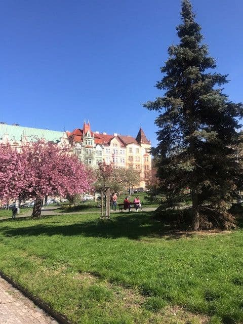 Pronájem bytu 53 m², namesti generala Kutlvasra, Praha, Praha Pronájem bytu 53 m², namesti generala Kutlvasra, Praha, Praha