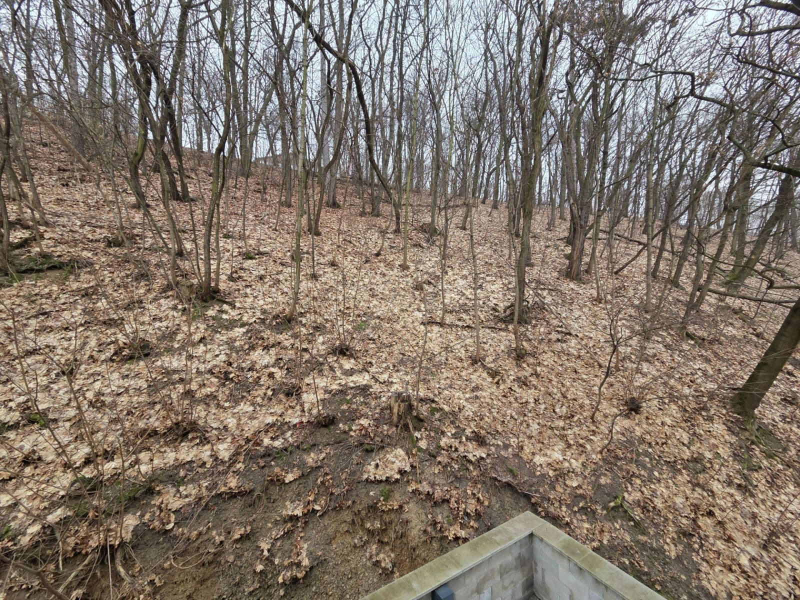 Pronájem bytu 2+kk 38 m², Pod Stárkou, Praha, Praha Pronájem bytu 2+kk 38 m², Pod Stárkou, Praha, Praha