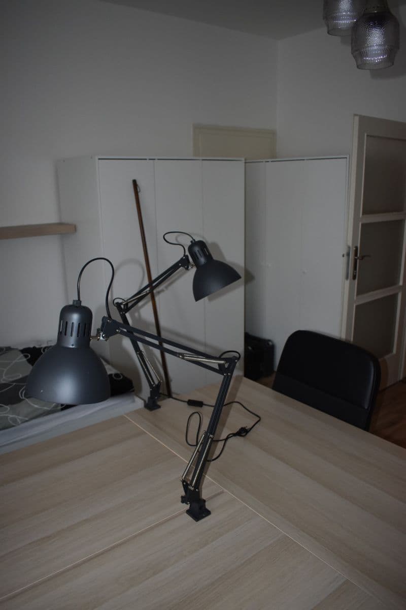 Pronájem bytu 3+1 87 m², Botanická, Brno, Jihomoravský kraj Pronájem bytu 3+1 87 m², Botanická, Brno, Jihomoravský kraj