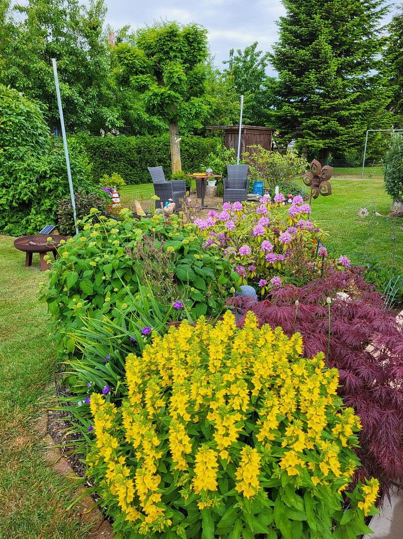 Prodej domu 152 m², pozemek 769 m², Jördenstorf, Mecklenburg-Vorpommern Prodej domu 152 m², pozemek 769 m², Jördenstorf, Mecklenburg-Vorpommern