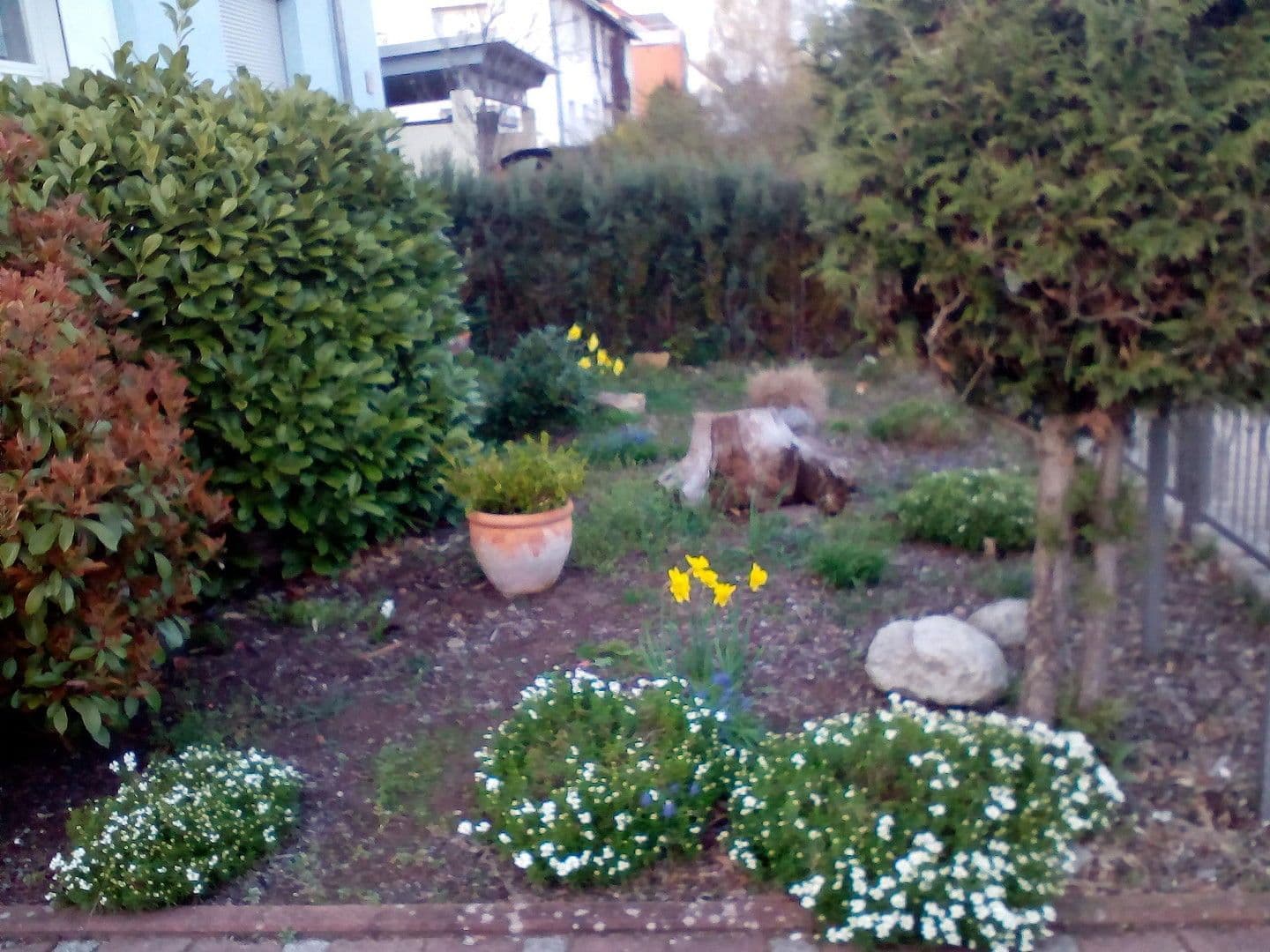 Pronájem domu 125 m², pozemek 275 m², Walldorf, Bádensko-Württembersko Pronájem domu 125 m², pozemek 275 m², Walldorf, Bádensko-Württembersko