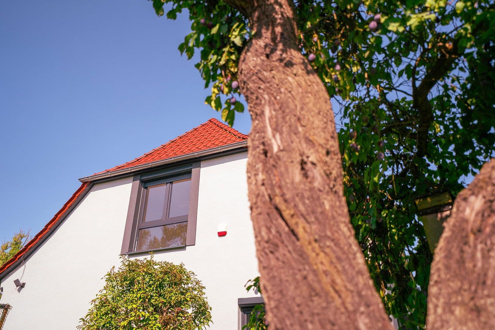 Prodej domu 238 m², pozemek 1.866 m², Zerbst/Anhalt, Sasko-Anhaltsko Prodej domu 238 m², pozemek 1.866 m², Zerbst/Anhalt, Sasko-Anhaltsko