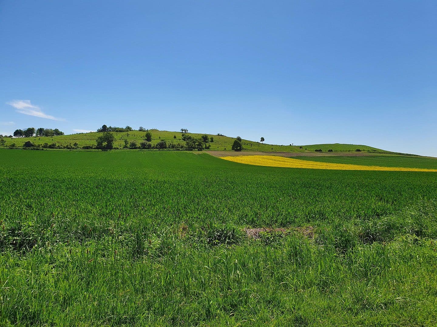 Prodej pozemku 496 m², Offenbergblick 16, Hofgeismar, Hessen Prodej pozemku 496 m², Offenbergblick 16, Hofgeismar, Hessen