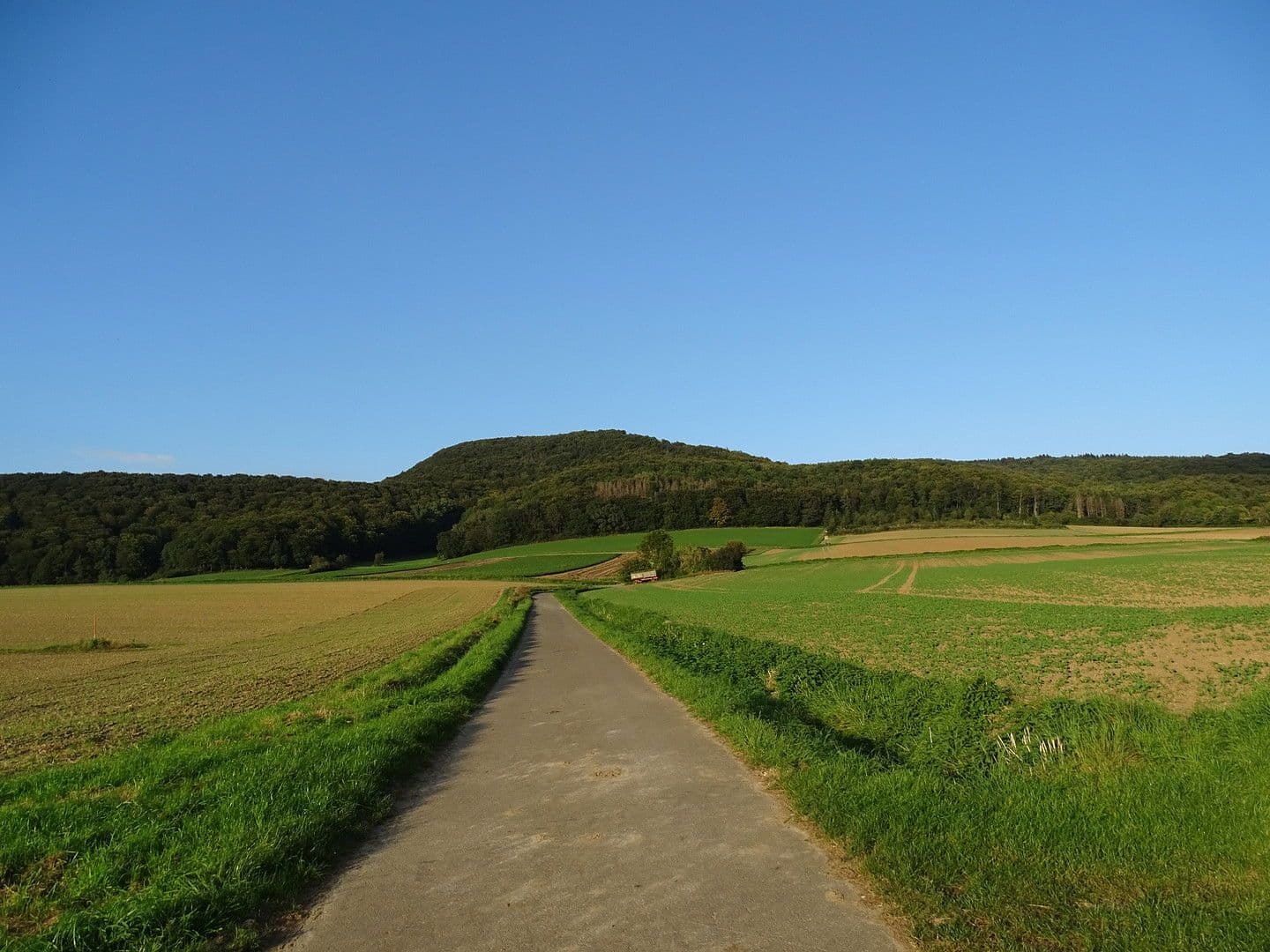 Prodej domu 200 m², pozemek 1.220 m², Hessisch Oldendorf, Dolní Sasko Prodej domu 200 m², pozemek 1.220 m², Hessisch Oldendorf, Dolní Sasko