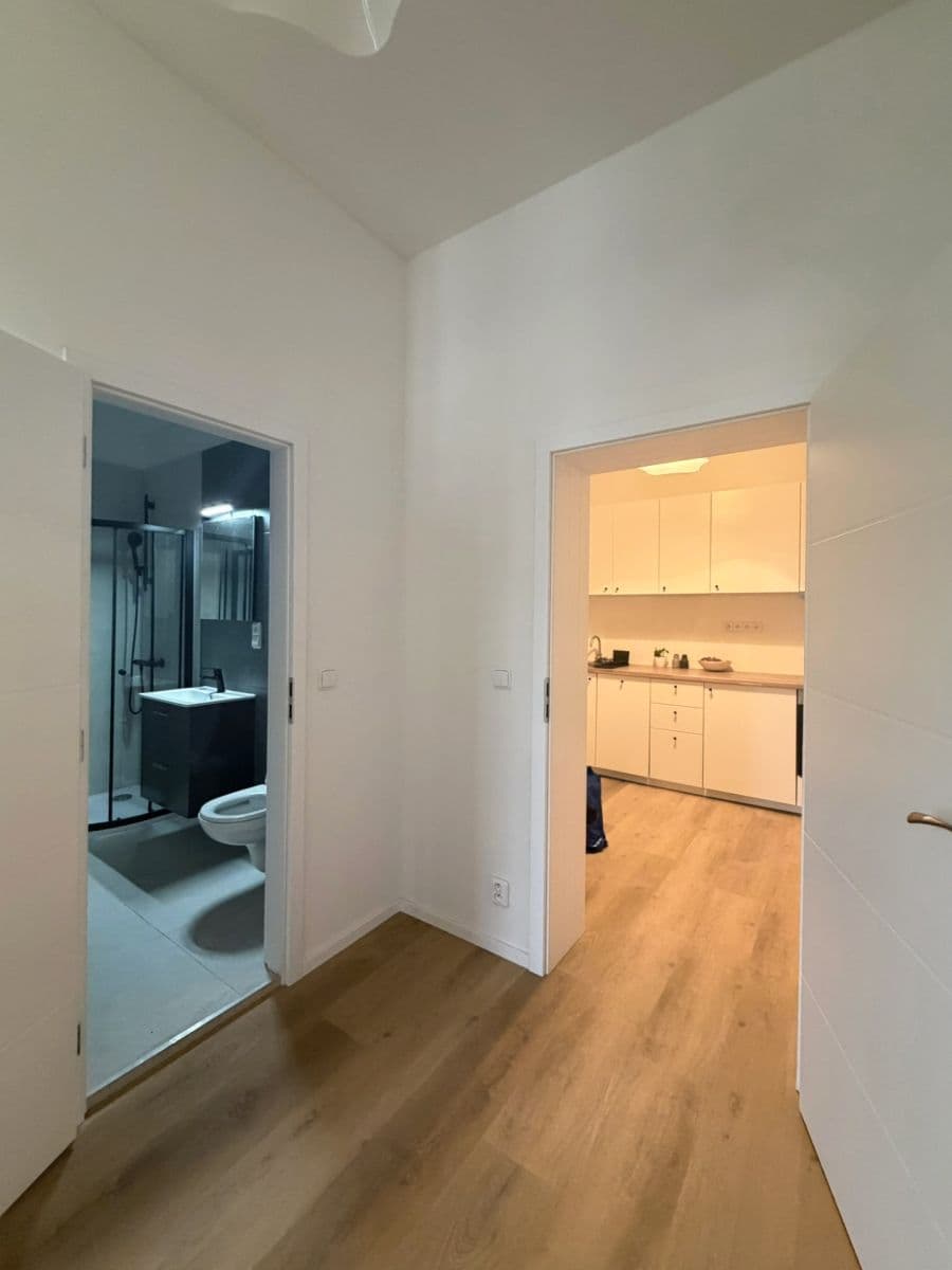 Pronájem bytu 1+1 31 m², U Tyrše, Praha, Praha Pronájem bytu 1+1 31 m², U Tyrše, Praha, Praha