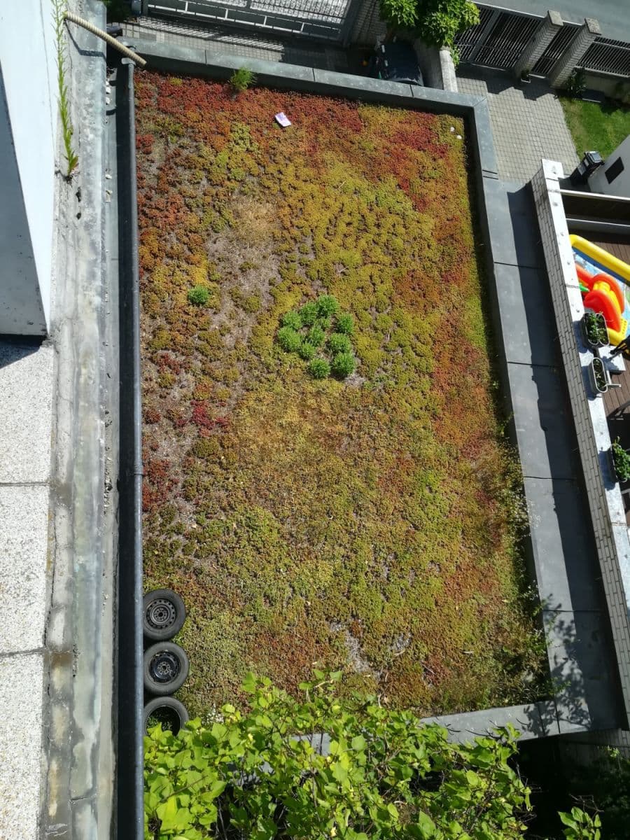 Pronájem bytu 300 m², Révová, Praha, Praha Pronájem bytu 300 m², Révová, Praha, Praha