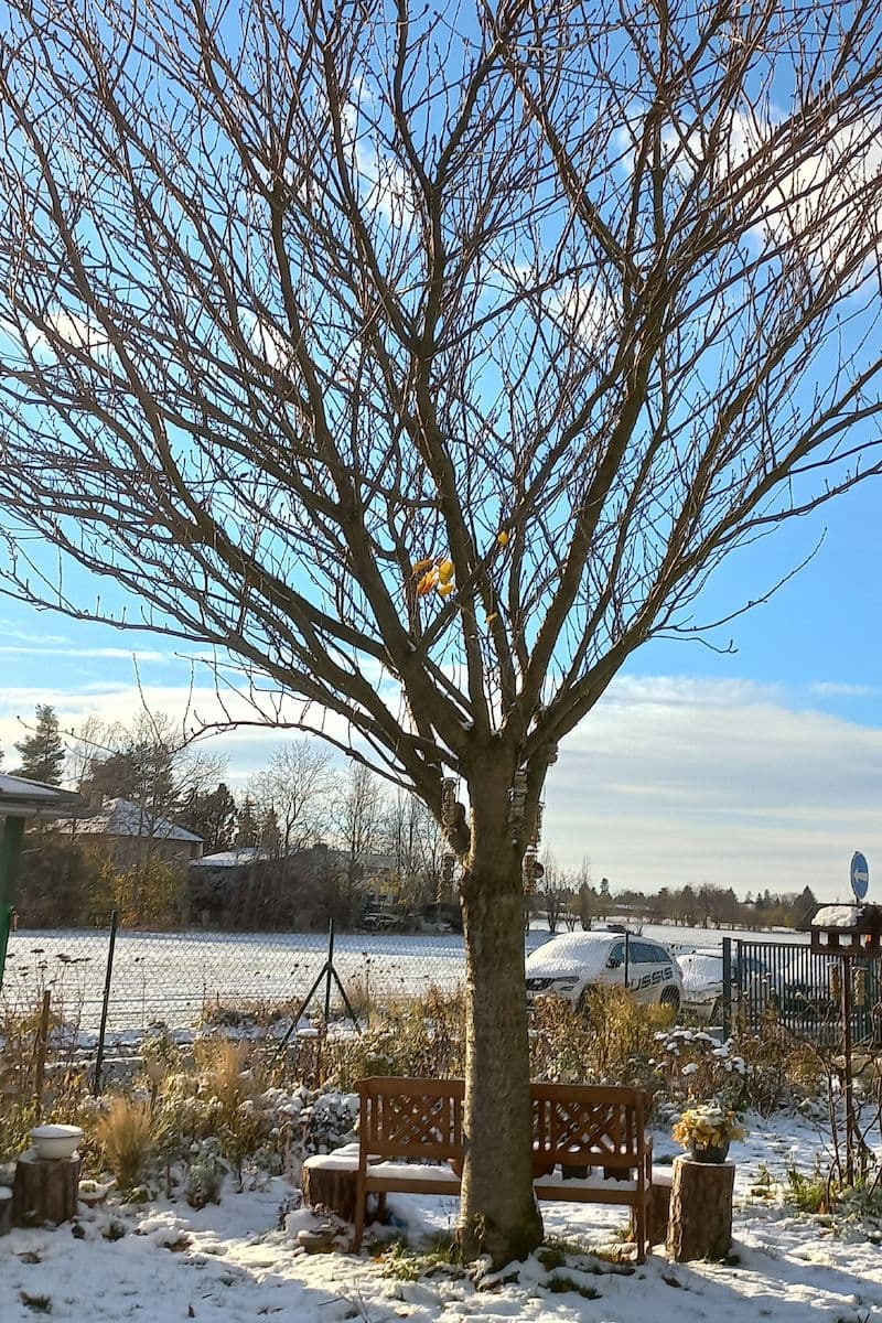 Prodej bytu 3+kk 69 m², Trojmezní, Šestajovice, Středočeský kraj Prodej bytu 3+kk 69 m², Trojmezní, Šestajovice, Středočeský kraj