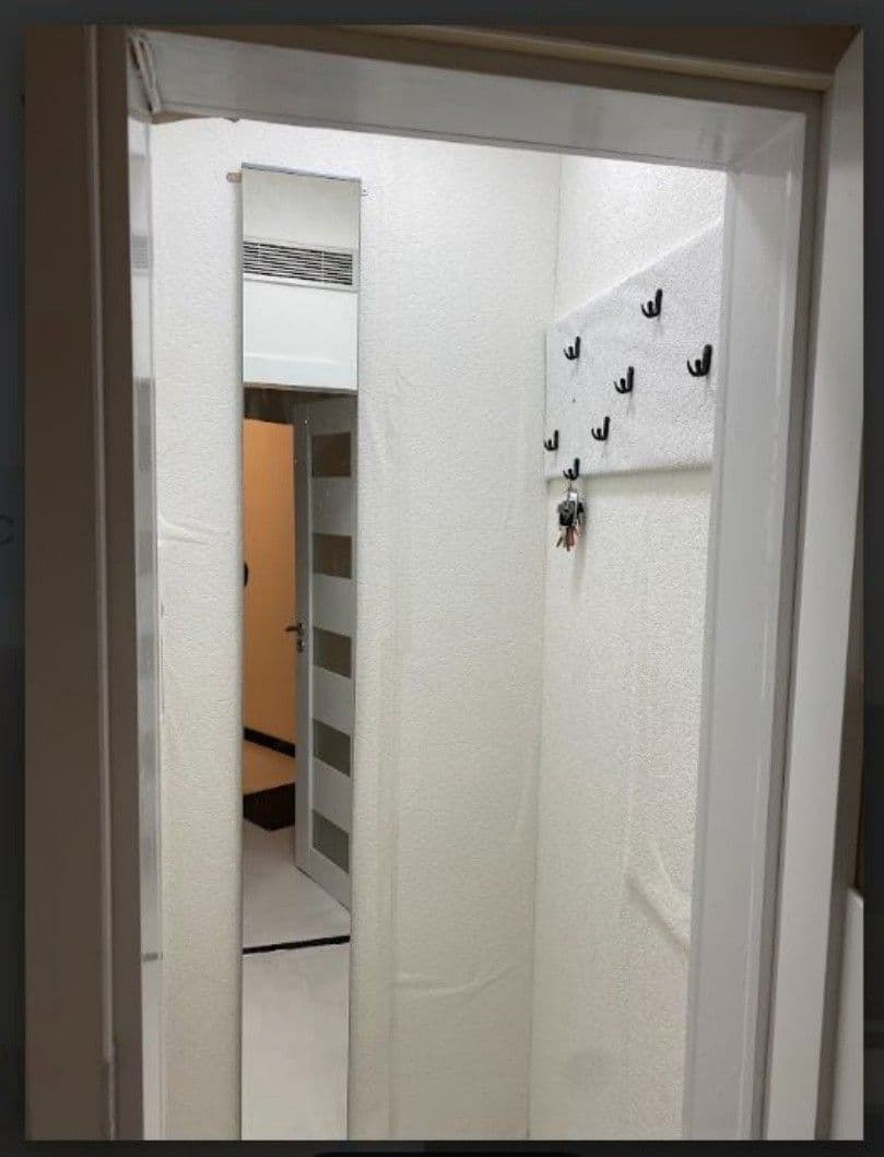 Pronájem bytu 3+kk 55 m², Voskovcova, Praha, Praha Pronájem bytu 3+kk 55 m², Voskovcova, Praha, Praha