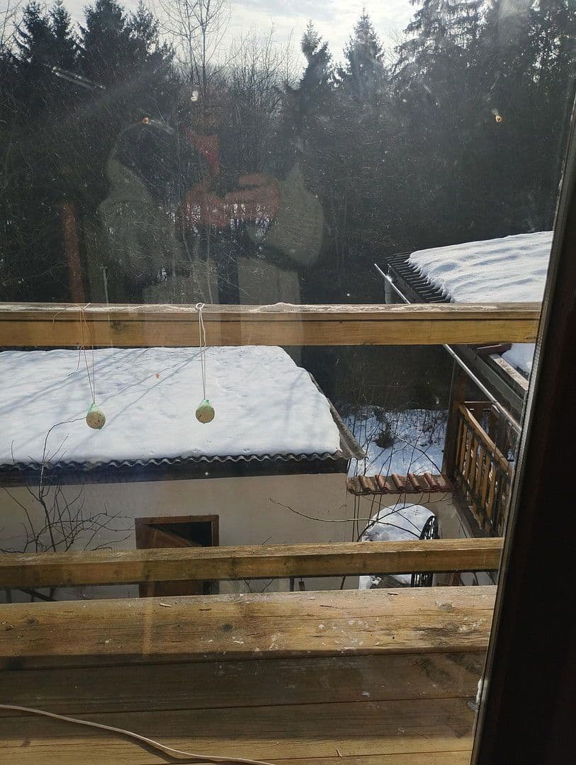 Prodej domu 90 m², pozemek 2.829 m², Fürstenstein, Bavorsko Prodej domu 90 m², pozemek 2.829 m², Fürstenstein, Bavorsko