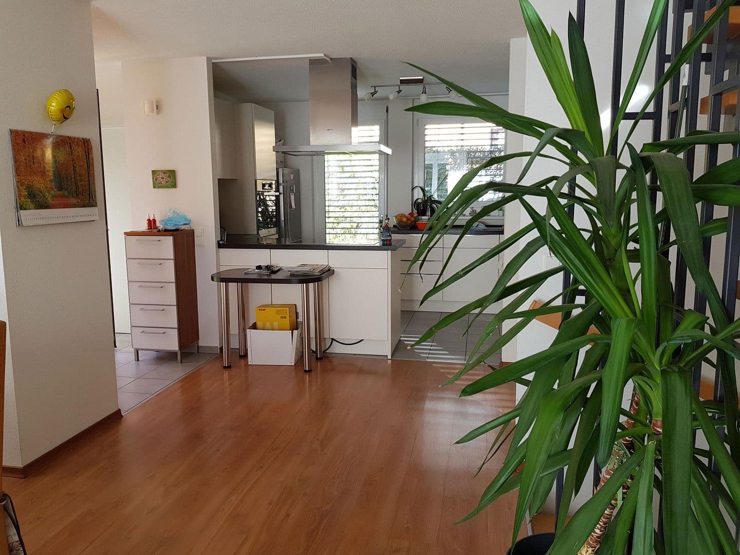Prodej domu 146 m², pozemek 264 m², Singen (Hohentwiel), Bádensko-Württembersko Prodej domu 146 m², pozemek 264 m², Singen (Hohentwiel), Bádensko-Württembersko