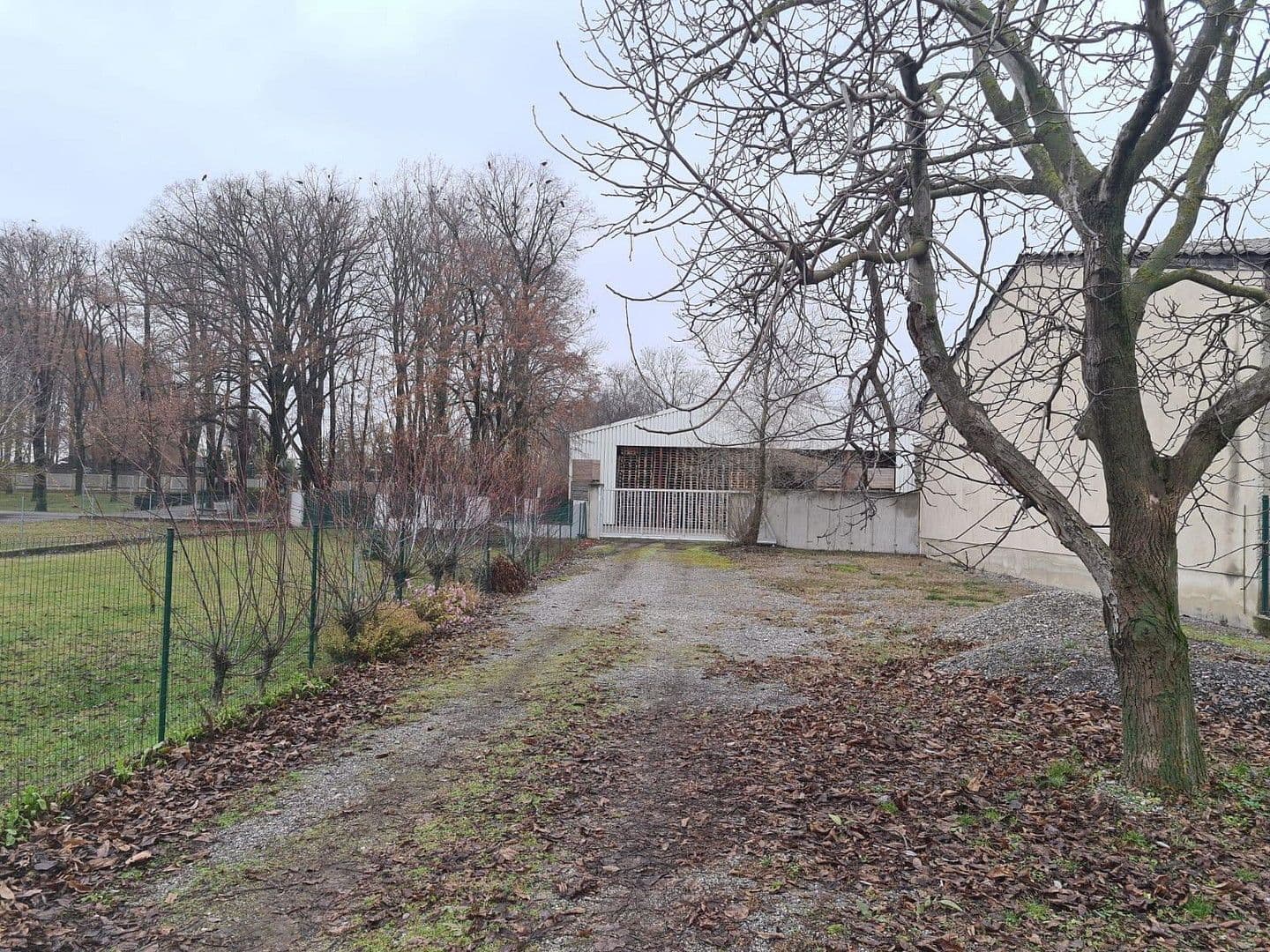 Prodej domu 264 m², pozemek 2.360 m², Probstdorf, Dolní Rakousko Prodej domu 264 m², pozemek 2.360 m², Probstdorf, Dolní Rakousko