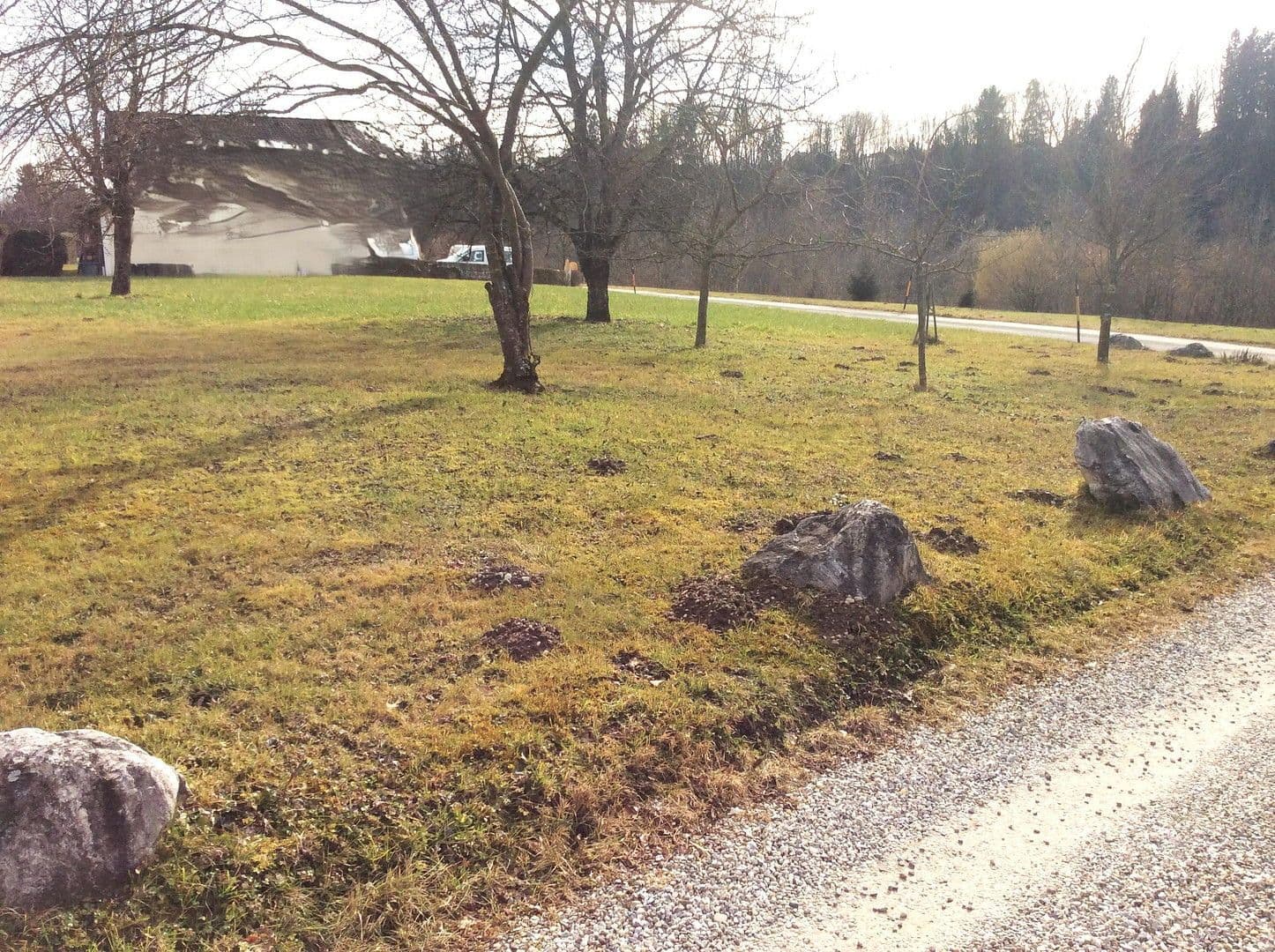 Prodej pozemku 1.342 m², Haggenstraße, Oberndorf, Salcbursko Prodej pozemku 1.342 m², Haggenstraße, Oberndorf, Salcbursko