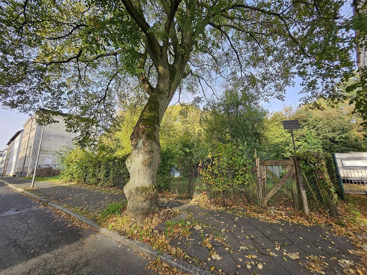 Prodej pozemku 1.384 m², Dannenbaumstr. 34, Bochum, Severní Porýní-Vestfálsko Prodej pozemku 1.384 m², Dannenbaumstr. 34, Bochum, Severní Porýní-Vestfálsko